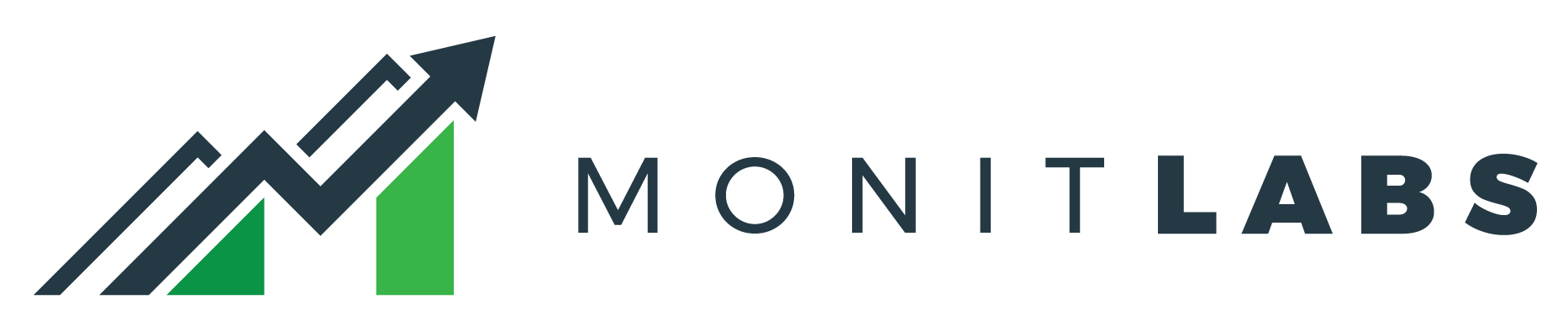 MonitLabs 2.0
